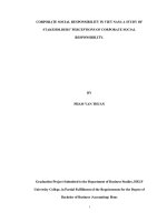 CORPORATE SOCIAL RESPONSIBILITY IN VIET NAM  a STUDY OF STAKEHOLDERS’ PERCEPTIONS OF CORPORATE SOCIAL RESPONSIBILITY 