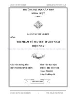 tội phạm về ma tuý ở việt nam hiện nay 