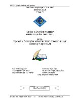 Tội gây ô nhiễm môi trường trong luật hình sự việt nam 