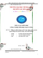 Bằng các dẫn chứng cụ thể , hãy chứng minh vai trò quan trọng của enzyme trong xử lý môi trường