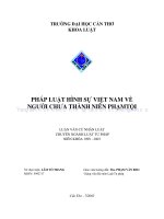 Pháp luật hình sự việt nam về người chưa thành niên phạm tội 