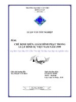 Chế định miễn, giảm hình phạt trong luật hình sự việt nam năm 1999 