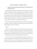 TÌM HIỂU VỀ GỐM BÁT TRÀNG