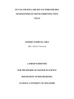 OCT 3 4 and SOX 2 are key factors for SDIA neurogenesis of mouse embryonic stem cells