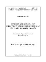 Đánh giá kết quả sớm của phẫu thuật nội soi ngoài phúc mạc cắt tuyến tiền liệt tận gốc (TT) 