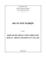 THIẾT KẾ HỆ THỐNG LƯỠNG NHIÊN LIỆU BIOGAS – DIESEL CHO ĐỘNG CƠ 1 XILANH
