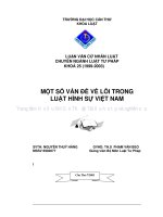 Một số vấn đề về lỗi trong luật hình sự việt nam 
