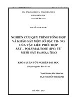 Nghiên cứu quy trình tổng hợp và khảo sát một số đặc trưng của vật liệu phức hợp sắt   polymaltose (IPC) từ muối sắt Fe2(SO4)3 7h2o 