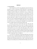 Vận dụng phương pháp thí nghiệm trong dạy học môn khoa học lớp 4 theo cách tiếp cận người học là chủ thể tích cực 