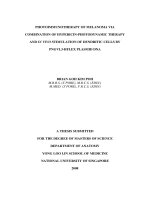 Photoimmunotherapy of melanoma via combination of hypericin  photodynamic therapy and in vivo stimulation of dendritic cells by PNGVL3 HFLEX plasmid DNA