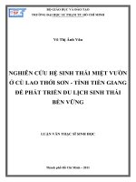 NGHIÊN CỨU HỆ SINH THÁI MIỆT VƯỜN Ở CÙ LAO THỚI SƠN - TỈNH TIỀN GIANG ĐỂ PHÁT TRIỂN DU LỊCH SINH THÁI BỀN VỮNG
