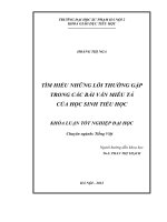 Tìm hiểu những lỗi thường gặp trong các bài văn miêu tả của học sinh tiểu học 