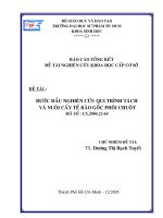 BƯỚC ĐẦU NGHIÊN CỨU QUI TRÌNH TÁCH VÀ NUÔI CẤY TẾ BÀO GỐC PHÔI CHUỘT