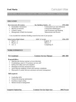 CV template 
