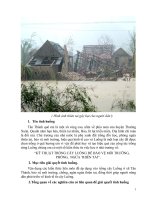 Bài dự thi  vận dụng kiến thức liên môn: KỸ THUẬT TRỒNG CÂY LUỒNG ĐỂ BẢO VỆ MÔI TRƯỜNG, PHÒNG,  NGỪA THIÊN TAI