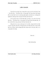 Nghiên cứu tổng hợp dẫn xuất n (3 hyđroxy 4 metoxybenzyliđen) chitosan và nghiên cứu hấp phụ ion kim loại nặng 