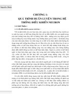 chương 1 quá trình huấn luyện trong hệ thống điều khiển neuron 