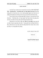 Nghiên cứu phản ứng biến tính chitosan và glutaralđehyt và khảo sát khả năng hấp phụ ion kim loại nặng 