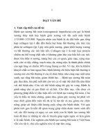 Xác định đột biến gen COL1A1, COL1A2 gây bệnh tạo xương bất toàn (osteogenesis imperfecta) (TT)