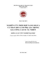 Nghiên cứu phối hợp nanosilica và than đen làm phụ gia trong gia công cao su tự nhiên 