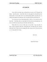 Nghiên cứu tổng hợp dẫn xuất n   (3   metoxybenzyliđen) chitosan và nghiên cứu hấp phụ ion kim loại nặng 