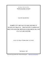 Nghiên cứu chế tạo vật liệu hấp phụ từ quặng sắt trại cau  thái nguyên và khảo sát khả năng hấp phụ metylen xanh, metyl da cam của vật liệu hấp phụ