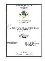 Tội hủy hoại rừng trong luật hình sự việt nam 