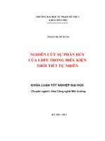Nghiên cứu sự phân hủy của LDPE trong điều kiện thời tiết tự nhiên 