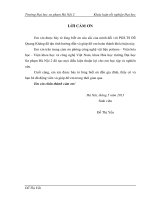 Nghiên cứu chế tạo vật liệu cao su blend trên cơ sở cao su tái sinh và polyetylen tỷ trọng thấp 