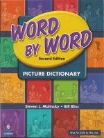 word by word picture dictionary second edition