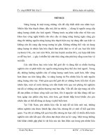 Nghiên cứu tổng hợp và đánh giá tính chất của vật liệu xúc tác pt MWCNT sử dụng trong pin nhiên liệu màng trao đổi proton 