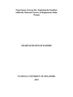 Exploring the sacrifices within the maternal careers of singaporean malay women