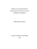 Photocatalytic degradation of organic pollutants by tio2 catalysts supported on adsorbents