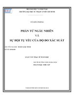 PHẦN TỬ NGẪU NHIÊN VÀ SỰ HỘI TỤ YẾU CỦA ĐỘ ĐO XÁC SUẤT