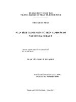 PHÂN TÍCH THÀNH NHÂN TỬ TRÊN VÀNH CÁC SỐ NGUYÊN ĐẠI SỐ BẬC K