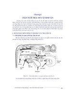Hướng dẫn nuôi bò sinh sản