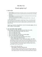 Bài báo cáo DOANH NGHIỆP là gì 