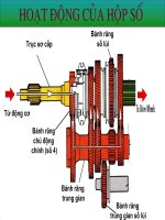 BÀI THUYẾT TRÌNH HỘP SỐ