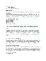 BÀI THUYẾT TRÌNH DOANH NGHIỆP là gì   các LOẠI HÌNH DOANH NGHIỆP 