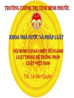 Nội Dung Cơ Bản Một Số Ngành Luật Trong Hệ Thống Pháp Luật Việt Nam