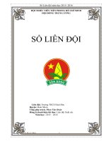 Sổ liên đội 2015  2016