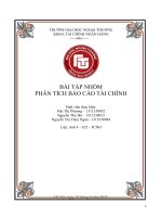 Tiểu luận về các phương pháp gian lận báo cáo tài chính và mối liên hệ giữa gian lận báo cáo tài chính với sự phá sản của lehman brothers