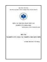 Đề tài tiểu luận Phương pháp nghiên cứu khoa học: Nghiên cứu màu tự nhiên cho son môi.
