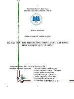 Bài tiểu luận: Thất bại thị trường trong cung cấp hàng hóa và dịch vụ y tế công