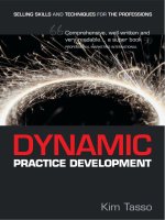Dynamic practice development selling skills and techniques for the professions 