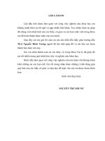 Nền tảng của lý thuyết thông tin lượng tử 