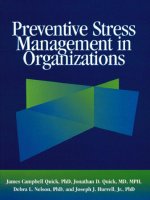 Preventive stress management in organizations 