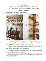 Bài dự thi vận dụng kiến thức liên môn để giải quyết tình huống thực tiễn