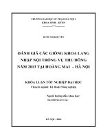 Đánh giá các giống khoai lang nhập nội trồng vụ thu đông năm 2013 tại hoàng mai   hà nội 
