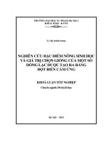 Nghiên cứu đặc điểm nông sinh học và giá trị chọn giống của một số dòng lạc được tạo ra bằng đột biến cảm ứng 